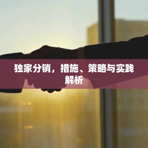 独家分销，措施、策略与实践解析