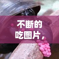 不断的吃图片，不停的吃是不是一种病 