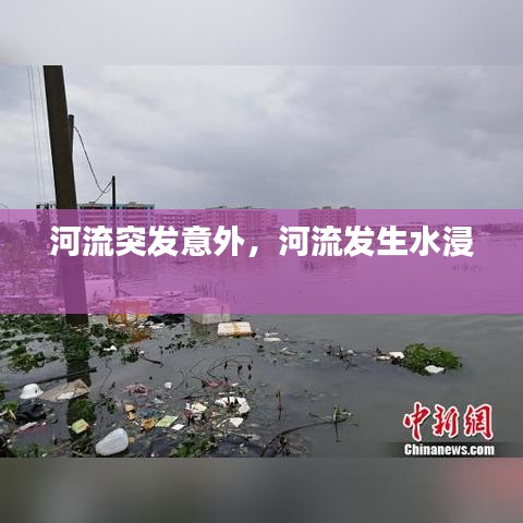 瞻云就日 第2页