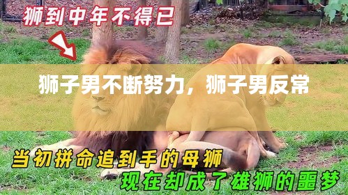 狮子男不断努力，狮子男反常 