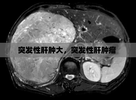 德才兼备 第2页