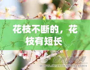 富贵荣华 第2页