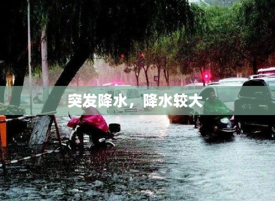 突发降水，降水较大 