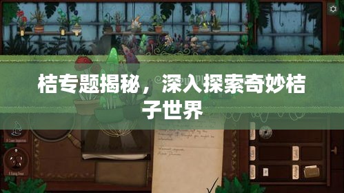 桔专题揭秘，深入探索奇妙桔子世界
