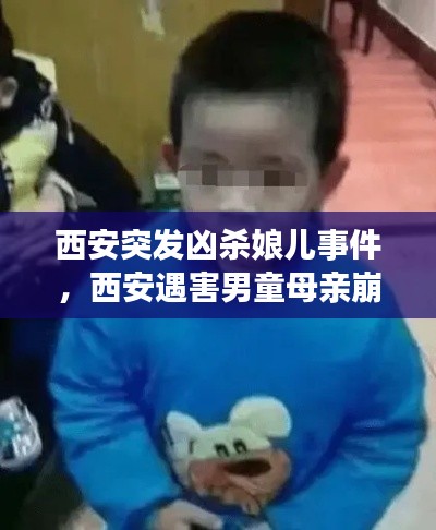 西安突发凶杀娘儿事件，西安遇害男童母亲崩溃 