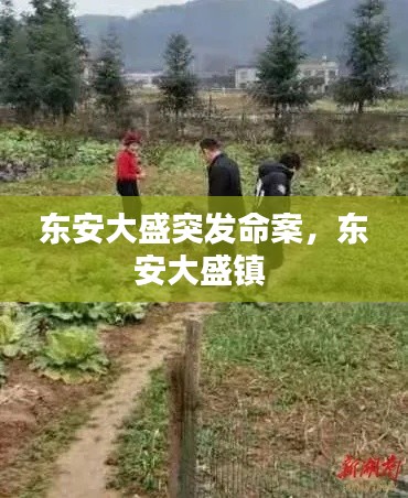 东安大盛突发命案，东安大盛镇 