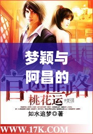 梦颖与阿昌的官途新篇章，花落之路