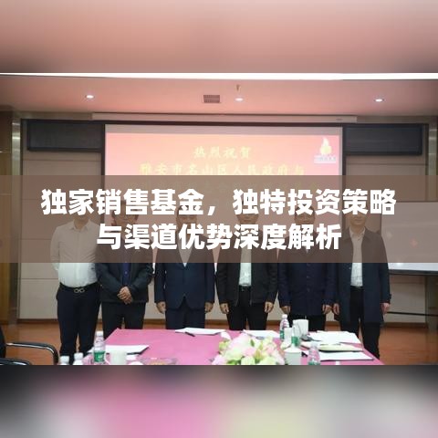 独家销售基金，独特投资策略与渠道优势深度解析