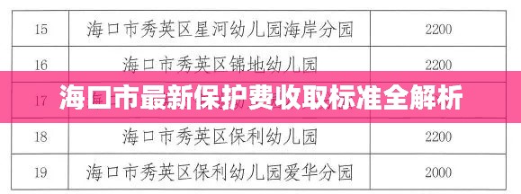 海口市最新保护费收取标准全解析