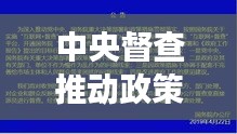 中央督查推动政策落实落地，实效显著，确保执行不落空