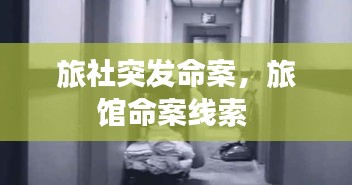 旅社突发命案，旅馆命案线索 