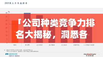 「公司种类竞争力排名大揭秘，洞悉各类企业的市场影响力与竞争力排名」