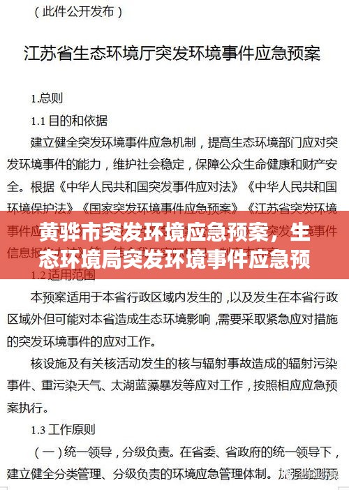 黄骅市突发环境应急预案，生态环境局突发环境事件应急预案 