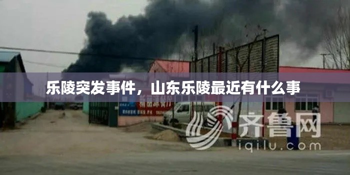 乐陵突发事件，山东乐陵最近有什么事 