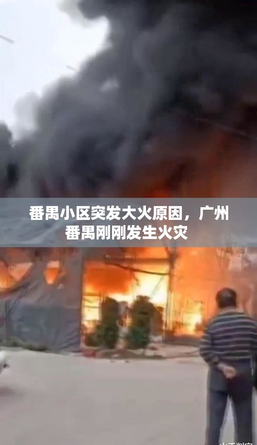 番禺小区突发大火原因，广州番禺刚刚发生火灾 