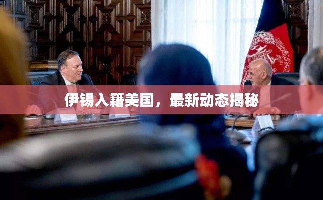伊锡入籍美国，最新动态揭秘