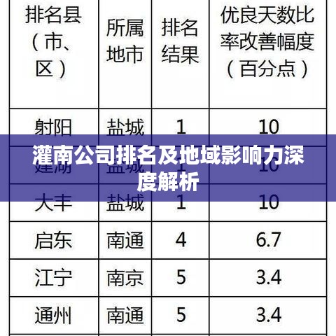 灌南公司排名及地域影响力深度解析