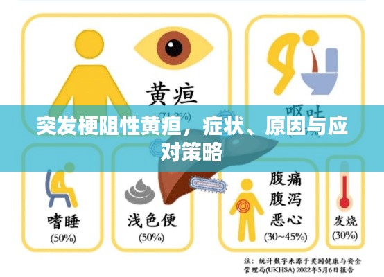 突发梗阻性黄疸，症状、原因与应对策略