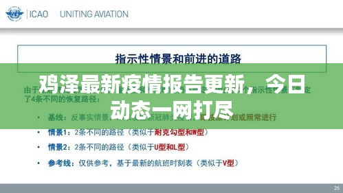 鸡泽最新疫情报告更新，今日动态一网打尽