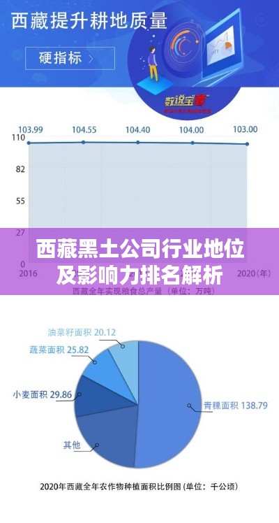 西藏黑土公司行业地位及影响力排名解析