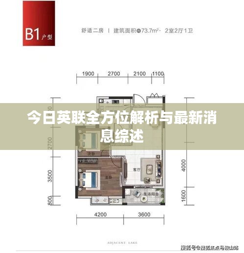今日英联全方位解析与最新消息综述