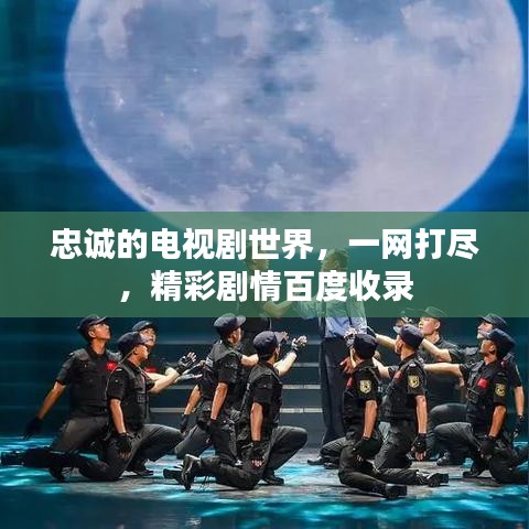 忠诚的电视剧世界，一网打尽，精彩剧情百度收录