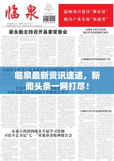 临泉最新资讯速递，新闻头条一网打尽！