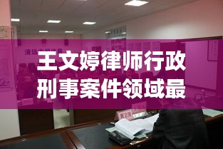 王文婷律师行政刑事案件领域最新进展，深度解析法律动态