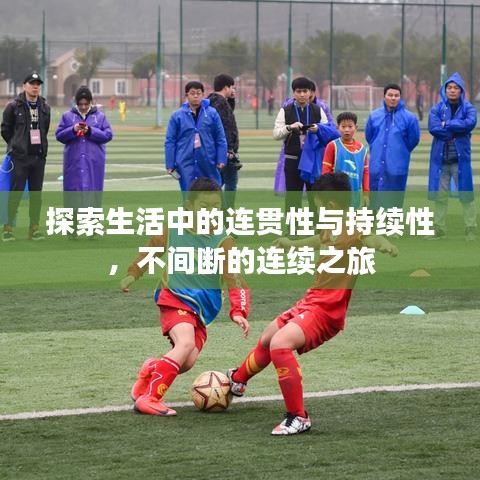 探索生活中的连贯性与持续性，不间断的连续之旅