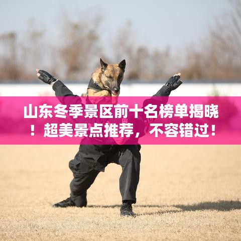 山东冬季景区前十名榜单揭晓！超美景点推荐，不容错过！