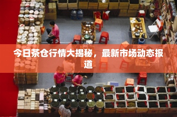 今日茶仓行情大揭秘，最新市场动态报道