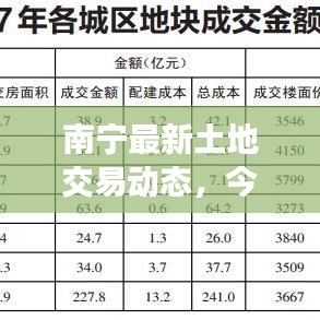 南宁最新土地交易动态，今日地块成交速递