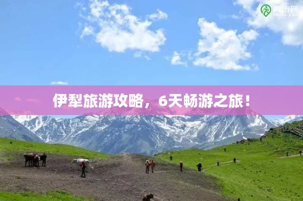 伊犁旅游攻略，6天畅游之旅！