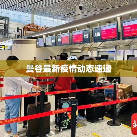 曼谷最新疫情动态速递