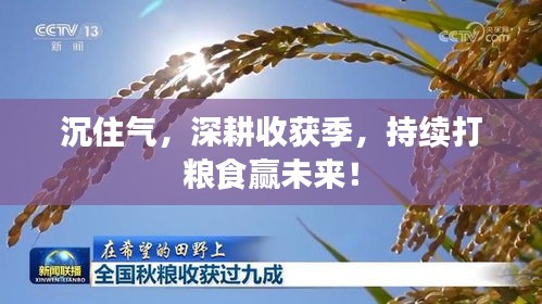 沉住气，深耕收获季，持续打粮食赢未来！