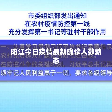 阳江今日疫情最新确诊人数动态
