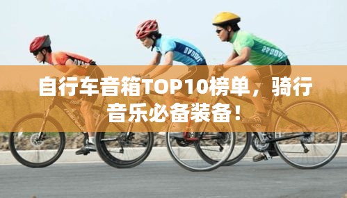 自行车音箱TOP10榜单，骑行音乐必备装备！