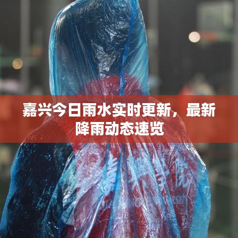 嘉兴今日雨水实时更新，最新降雨动态速览