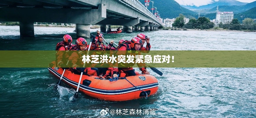 林芝洪水突发紧急应对！