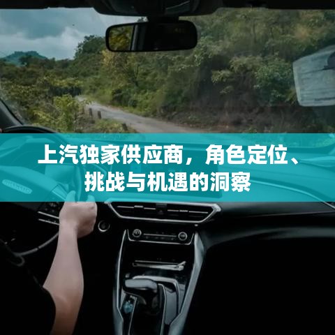 上汽独家供应商，角色定位、挑战与机遇的洞察