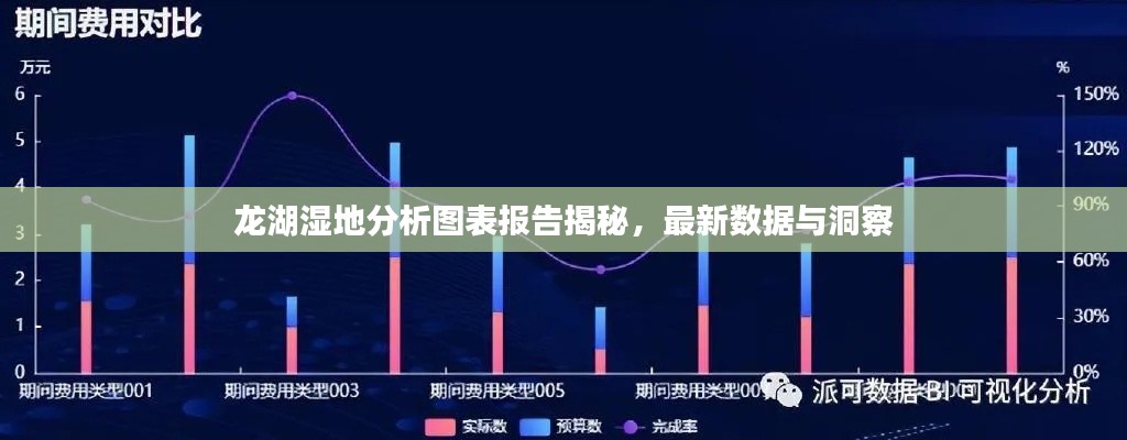 龙湖湿地分析图表报告揭秘，最新数据与洞察