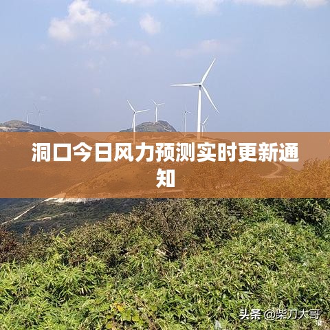 洞口今日风力预测实时更新通知
