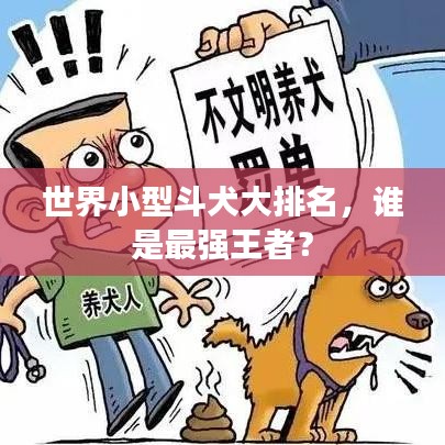 世界小型斗犬大排名，谁是最强王者？