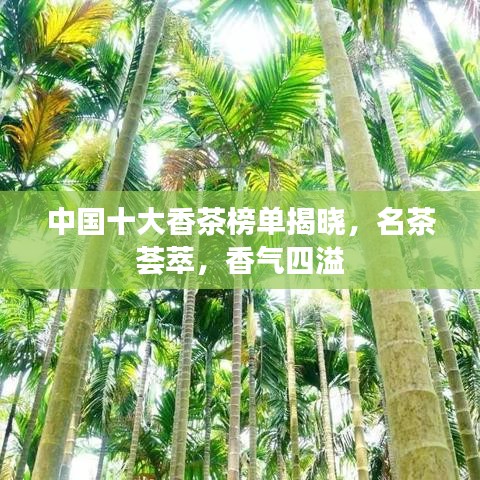 中国十大香茶榜单揭晓，名茶荟萃，香气四溢