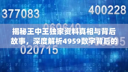 揭秘王中王独家资料真相与背后故事，深度解析4959数字背后的秘密