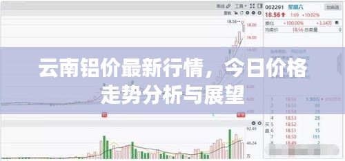 云南铝价最新行情，今日价格走势分析与展望