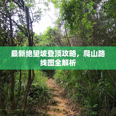 最新绝望坡登顶攻略，爬山路线图全解析