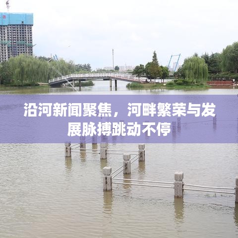 沿河新闻聚焦，河畔繁荣与发展脉搏跳动不停