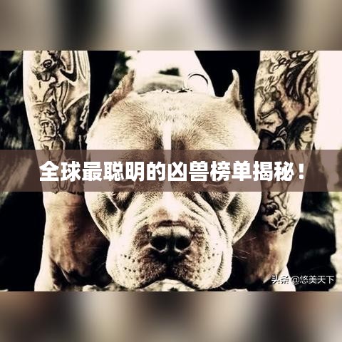 全球最聪明的凶兽榜单揭秘！