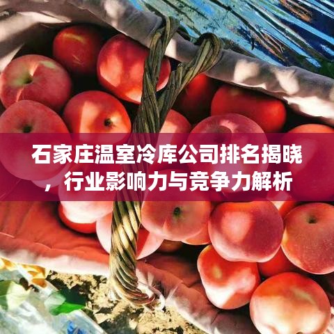 石家庄温室冷库公司排名揭晓，行业影响力与竞争力解析